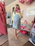 Denim Overall Dress